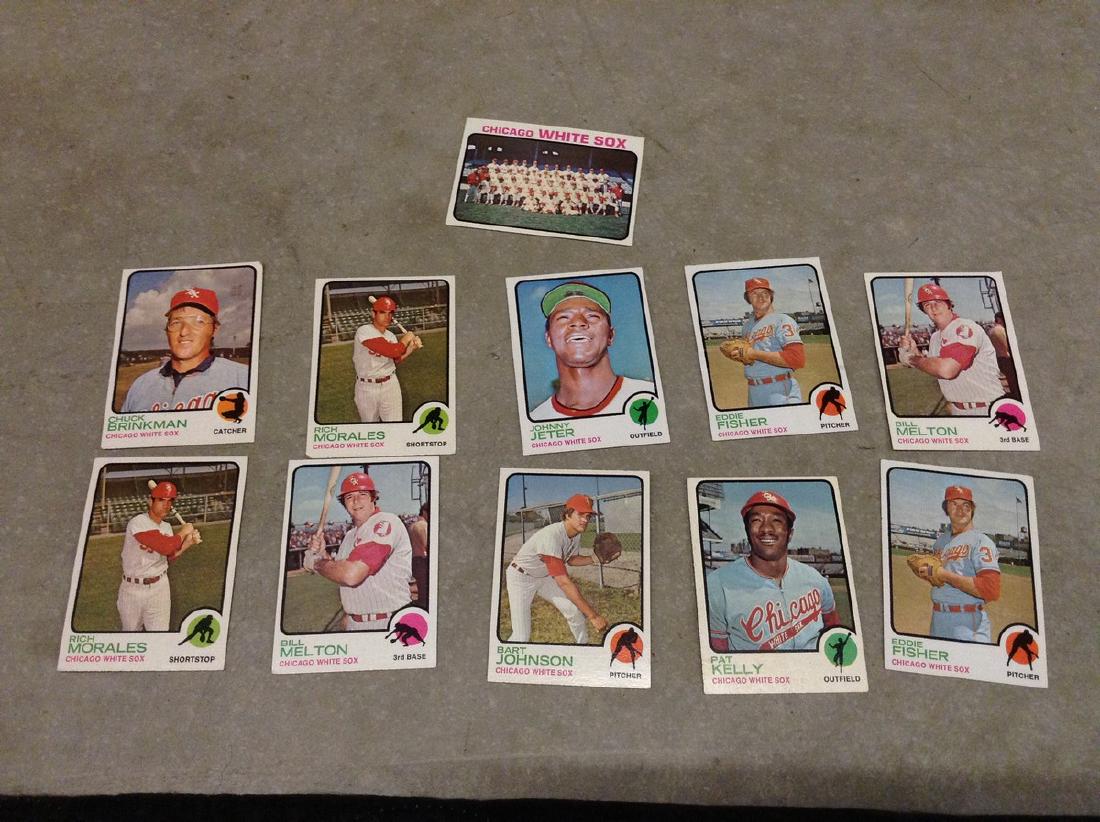 Baseball Cards 1973 Chicago White Sox (1 of 1)