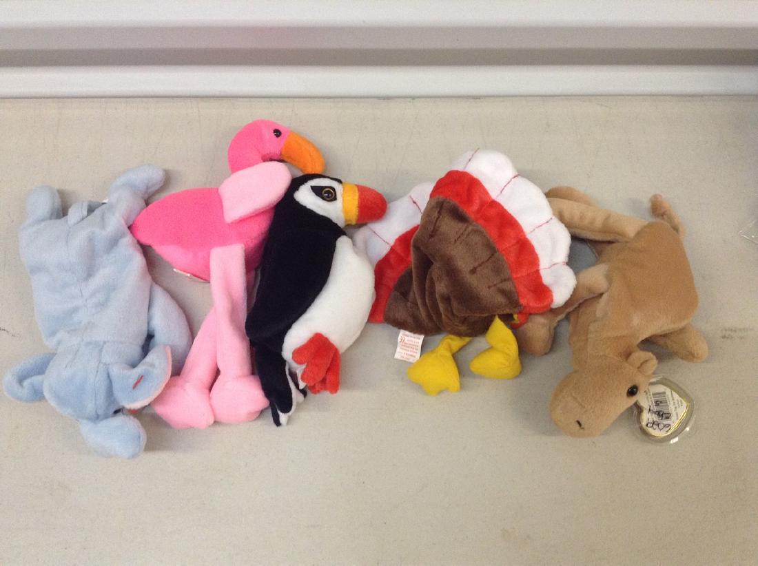 Lot of 5 Beanie Babies: Lot of 5 Beanie Babies