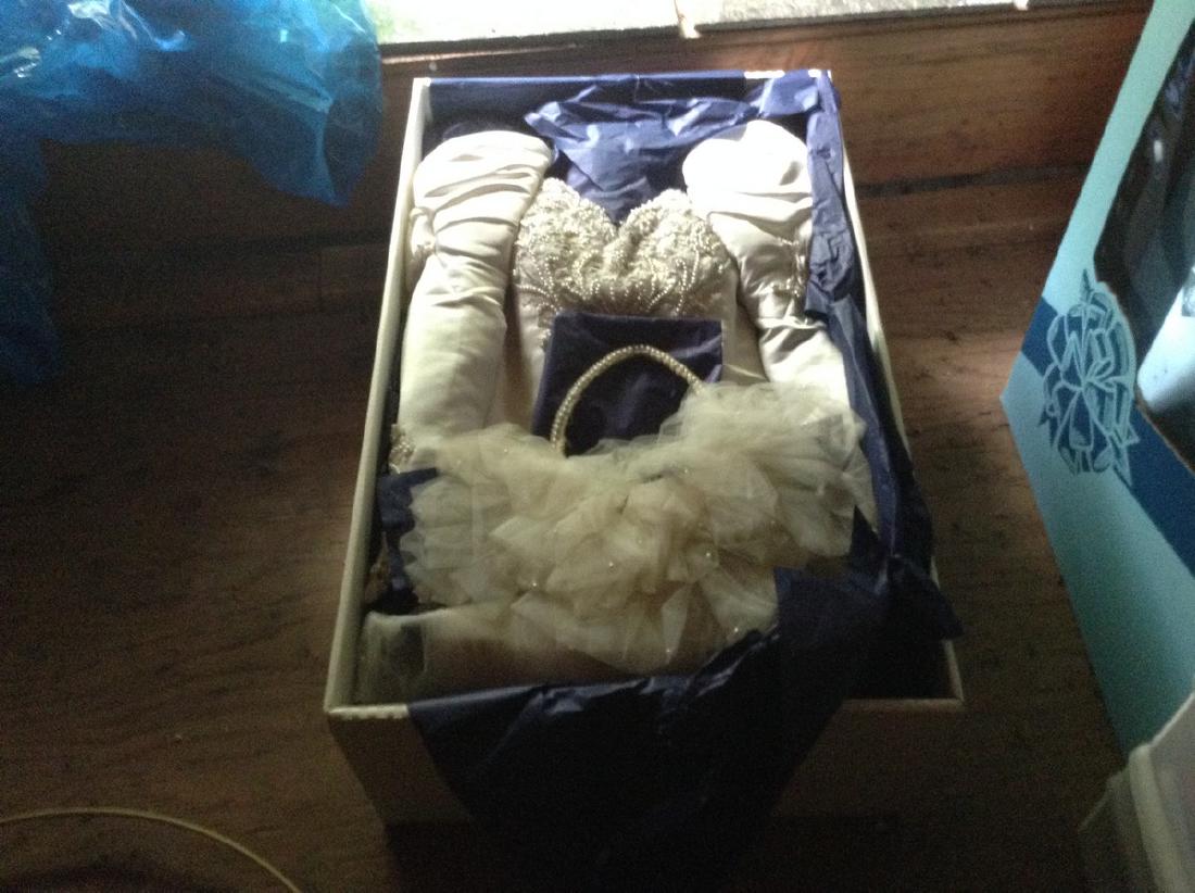 Vintage wedding Dress (1 of 1)