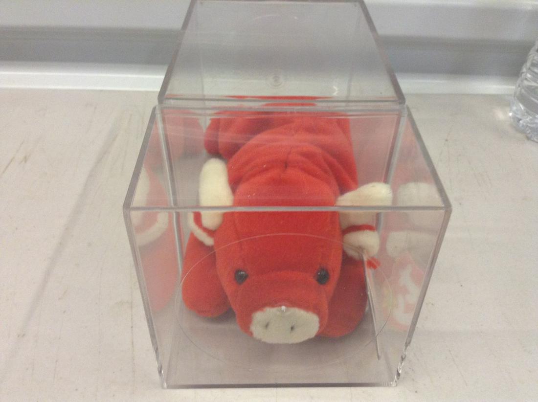 Red Pin Beanie Baby in case: Red Pin Beanie Baby in case