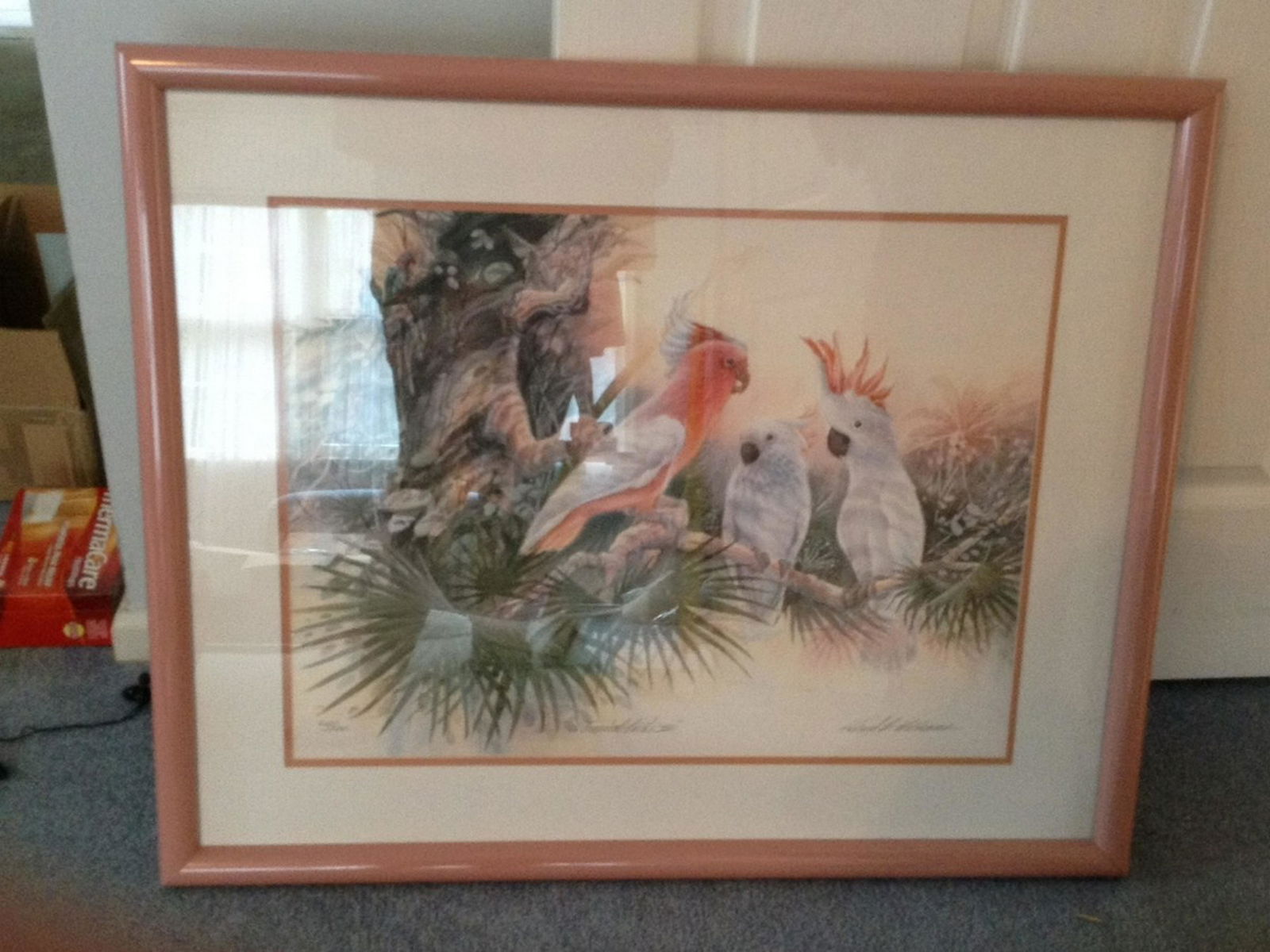 Tropical Birds signed and numbered Williams 448/500 (1 of 1)