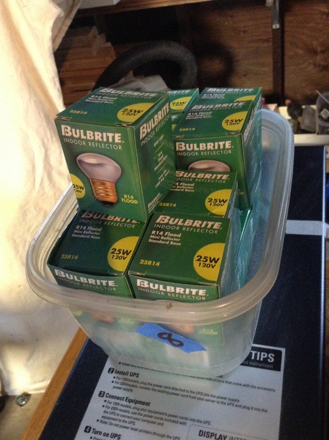 25Watt lightbulbs 15 count: 25Watt lightbulbs 15 count
