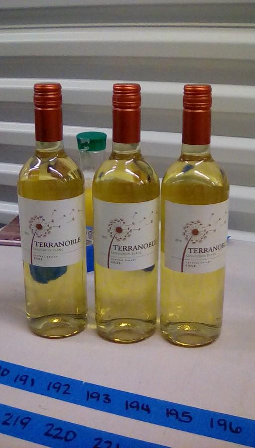 lot of 3 Terra Noble Sauvignon Blanc: lot of 3 Terra Noble Sauvignon Blanc