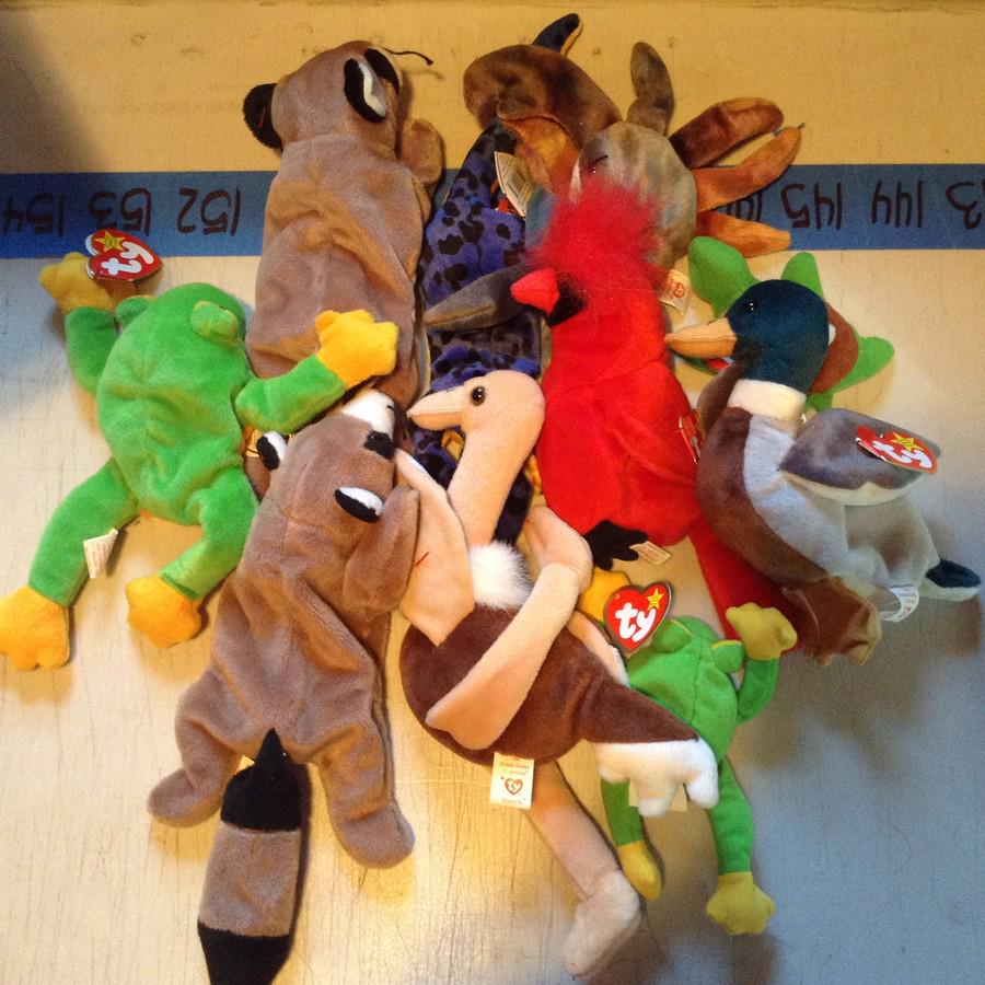 lot of 10 beanie babies: lot of 10 beanie babies