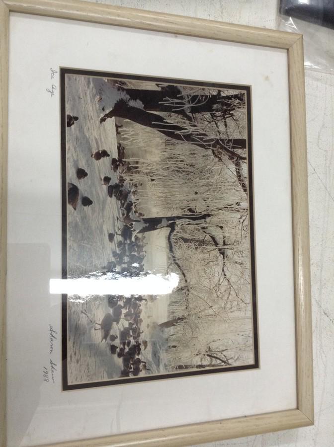 Sharon Shaw "I6 Ago" print signed 13x17: Sharon Shaw "I6 Ago" print signed 13x17