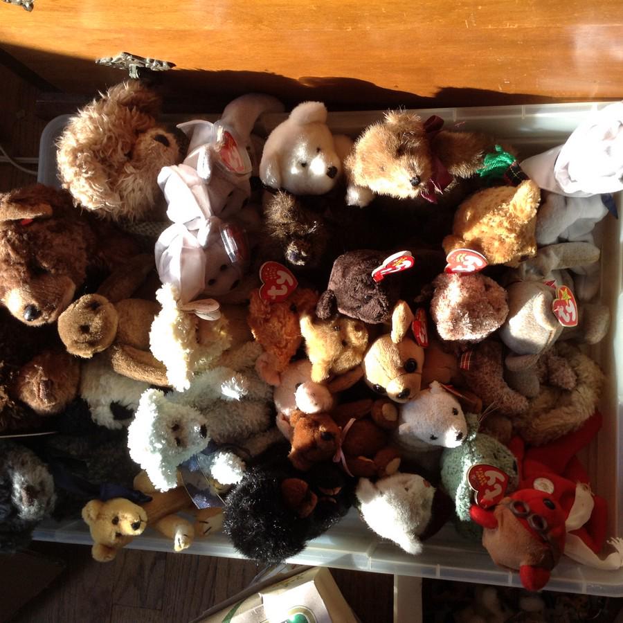 stuffed bears and beanie babies: stuffed bears and beanie babies