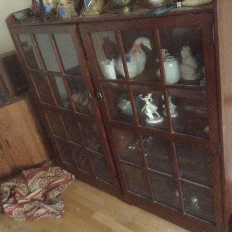 wooden two door book shelf (1 of 1)