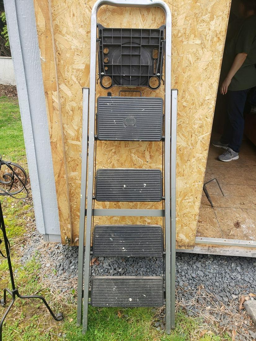 Large Step Ladder: Large Step Ladder