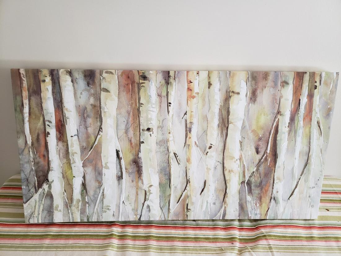 Canvas print of birch trees: Canvas print of birch trees