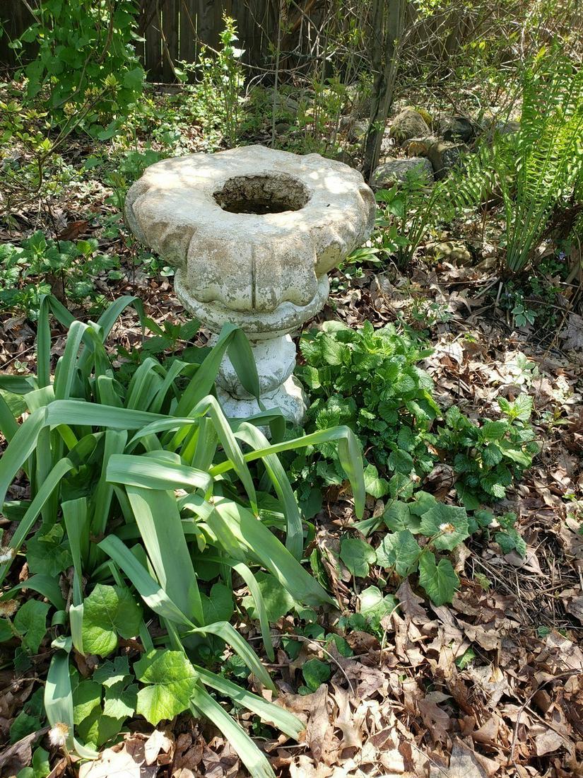 Cement bird bath: Cement bird bath