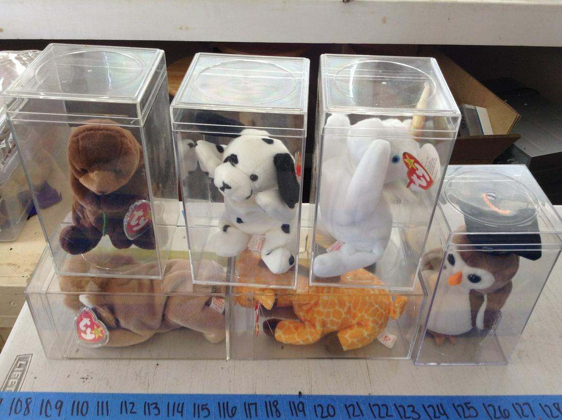 large lot of beanie babies in the collector's boxes: large lot of beanie babies in the collector's boxes