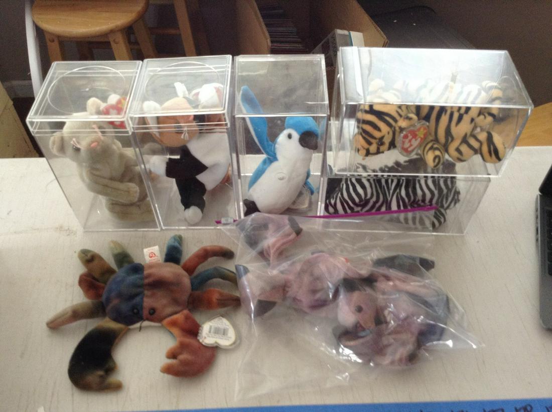lot of 8 beanie babies in the display cases: lot of 8 beanie babies in the display cases