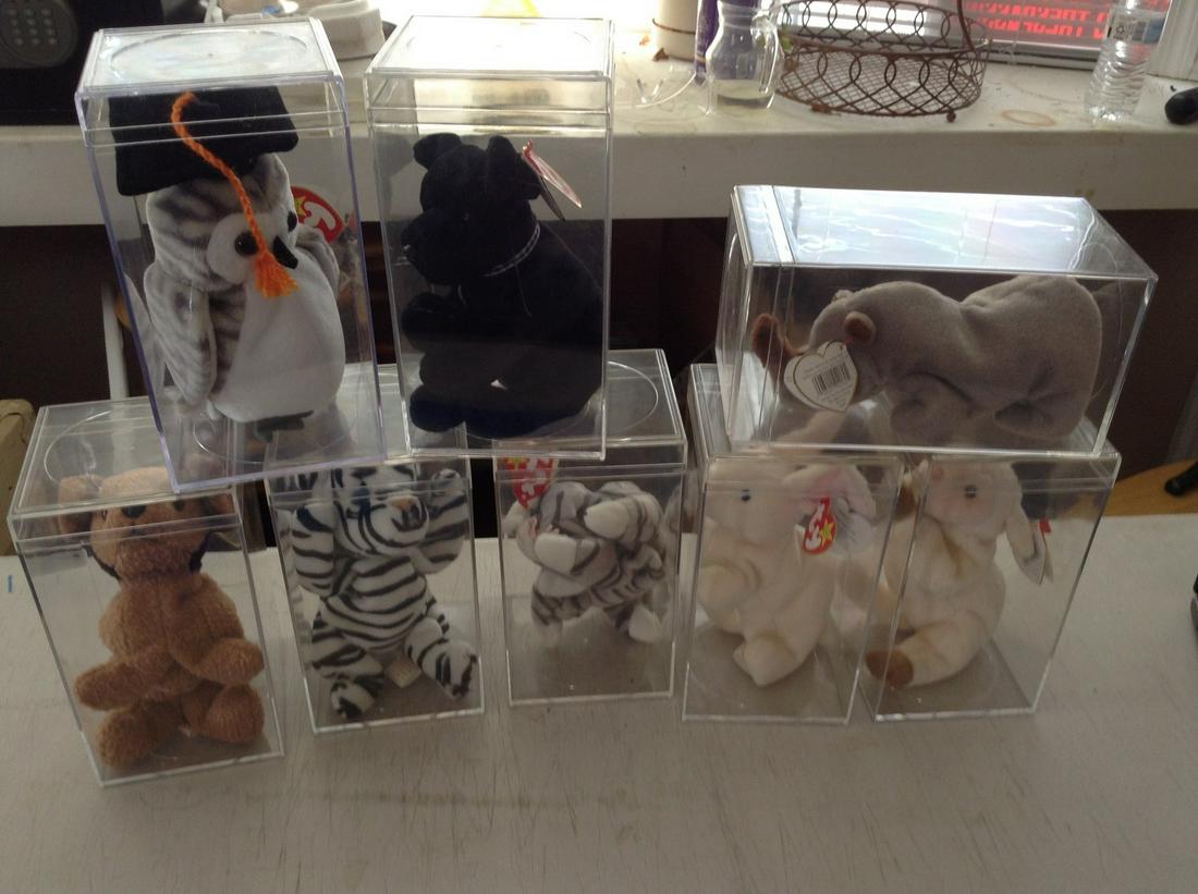 lot of 8 beanie babies in the display cases: lot of 8 beanie babies in the display cases