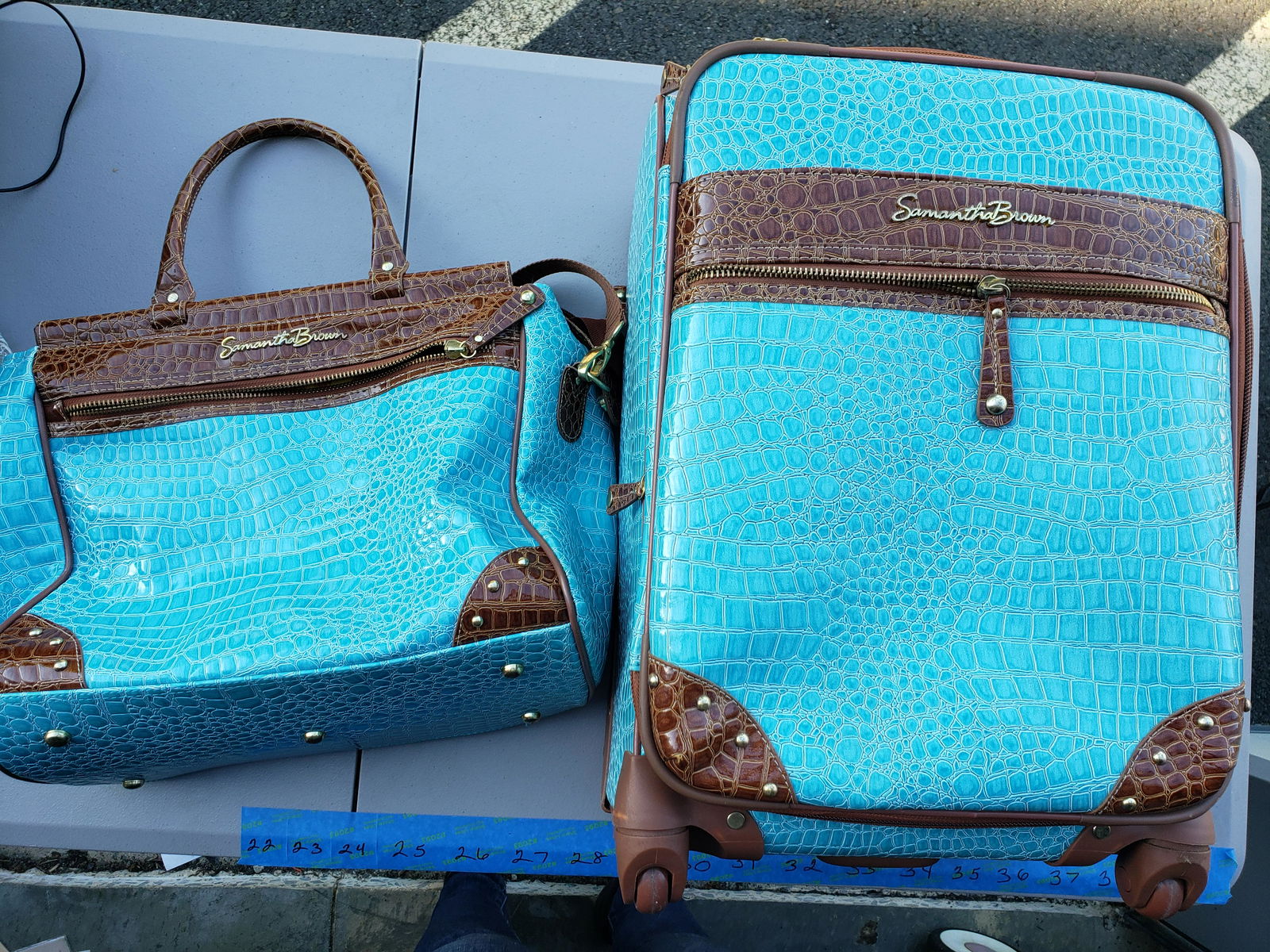 Samantha Brown Luggage & Carry on (1 of 1)