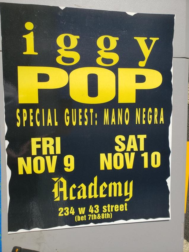 Iggy Pop Laminated Poster (1 of 1)