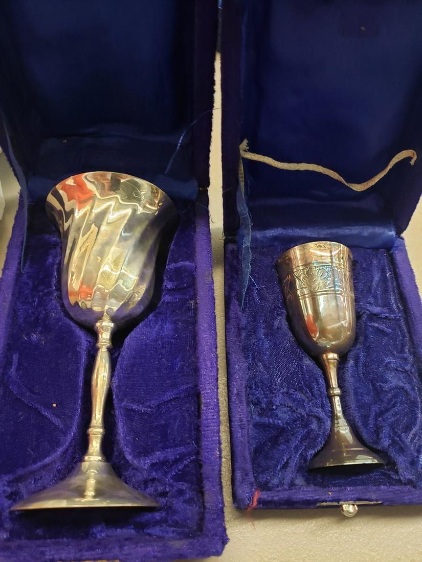 Two goblets in carrying case: Two goblets in carrying case