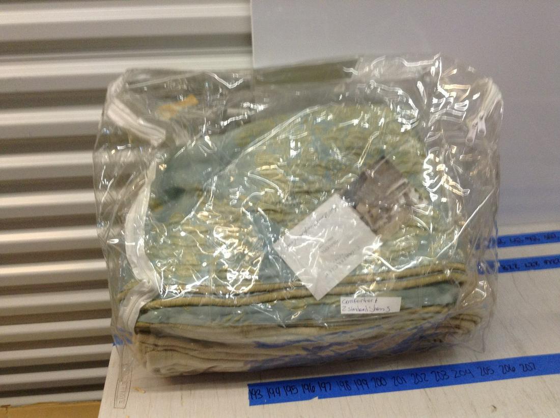 Comforter 2 standard shams (1 of 1)