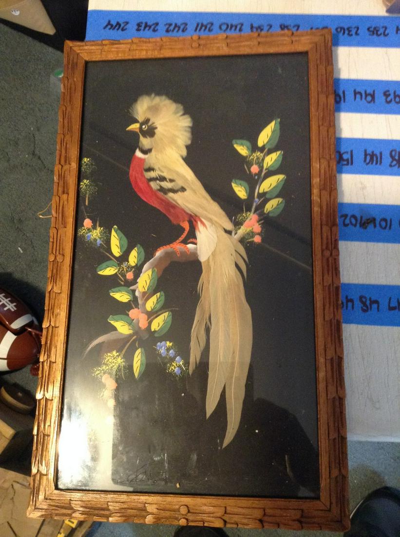 1950's real feathered wall art 10x17: 1950's real feathered wall art 10x17