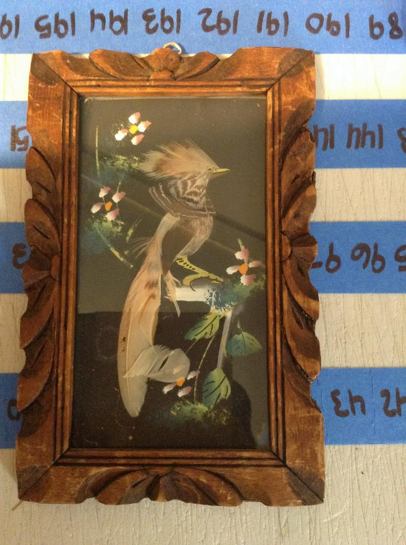 1950s real feather wall art 6x9 (1 of 1)