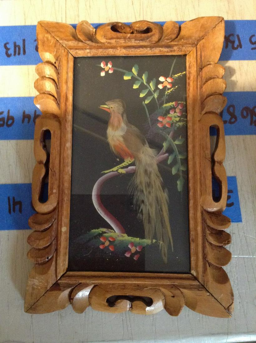 1950s real feather wall art 6x9 (1 of 1)