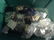 Large Amount Of Vintage Costume Jewelry