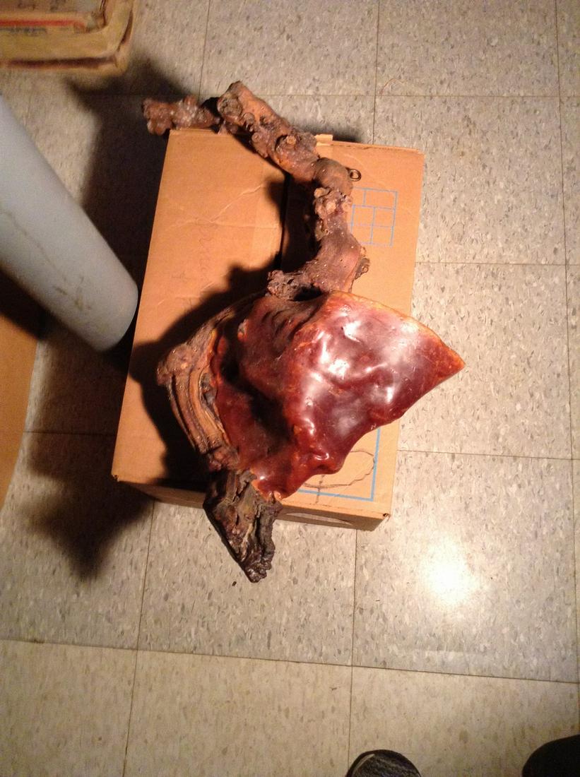 hanging tree root and flower pot made of wax: hanging tree root and flower pot made of wax