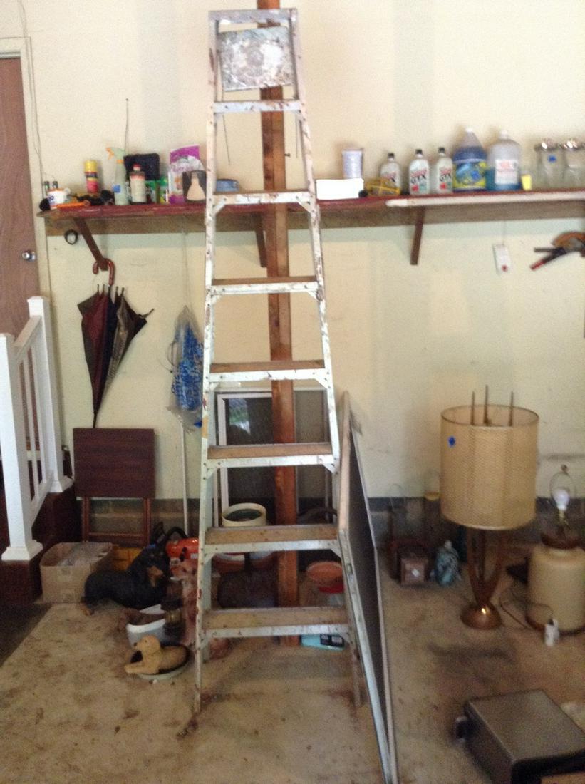 step ladder: step ladder
