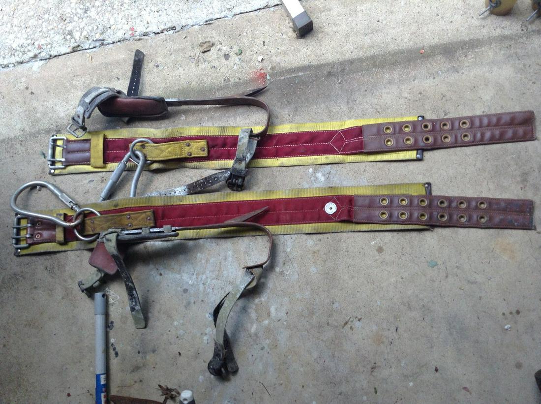 tree and pole climbing safety belt and spikes: tree and pole climbing safety belt and spikes