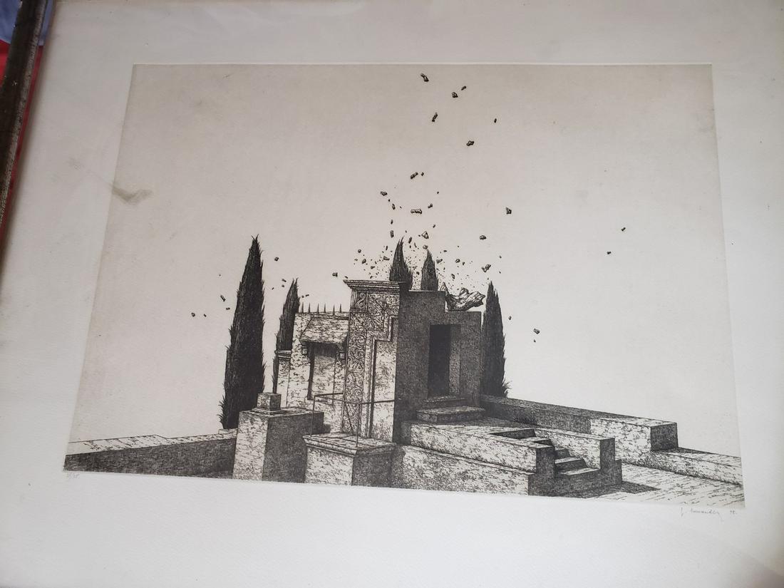 Gorgeous Framed Drawing by L. Hernandez ' 98 numbered (1 of 1)