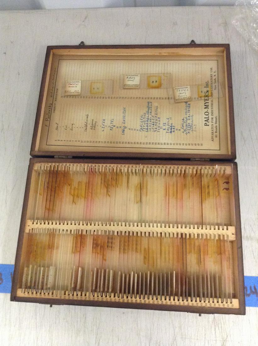 Large Amount Of Vintage Testing Slides (1 of 1)