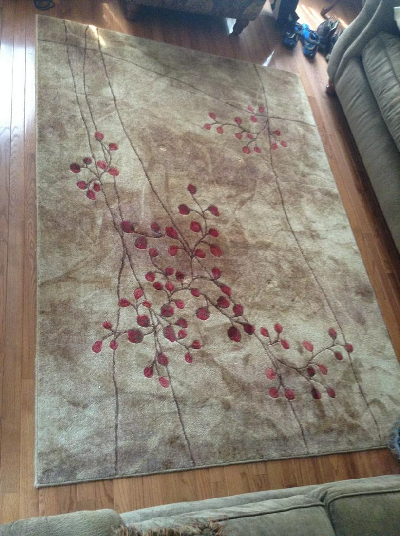 throw rug 90 x 63: throw rug 90 x 63