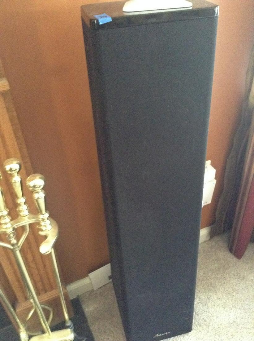 minapa pair of speakers 40" tall: minapa pair of speakers 40" tall