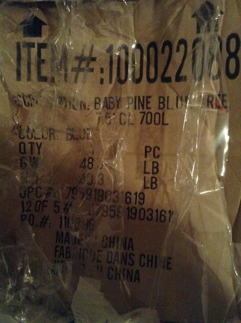 baby blue pine christmas tree in box (1 of 1)