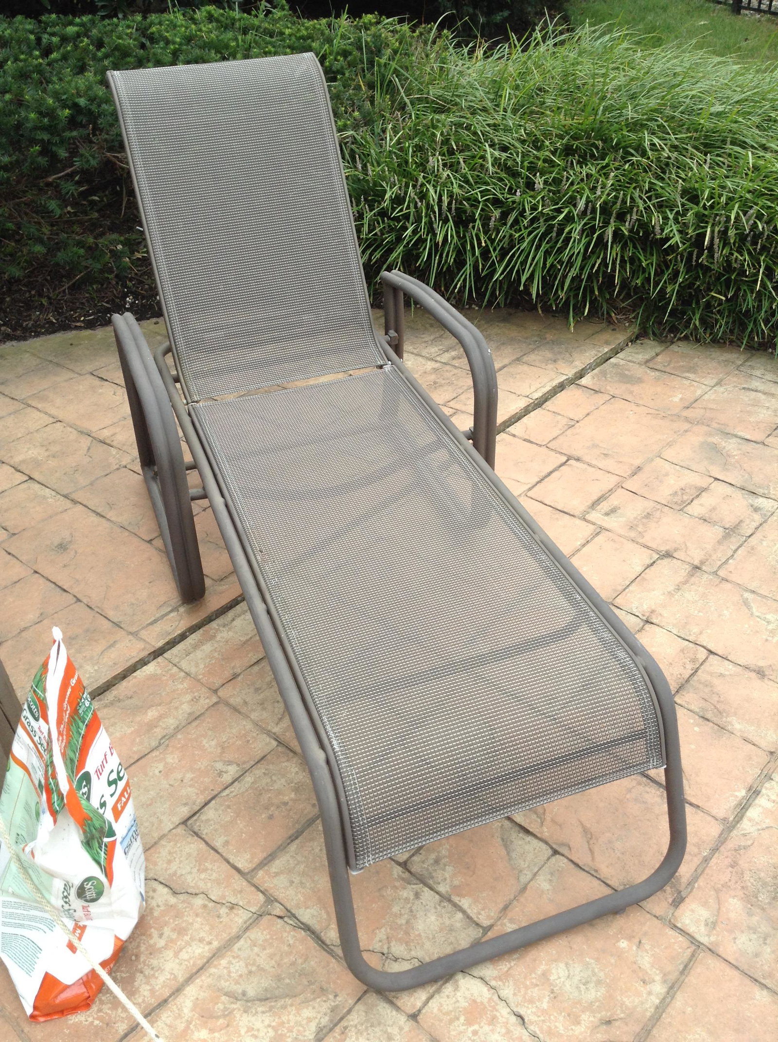 aliulium framed chaise lounge: aliulium framed chaise lounge