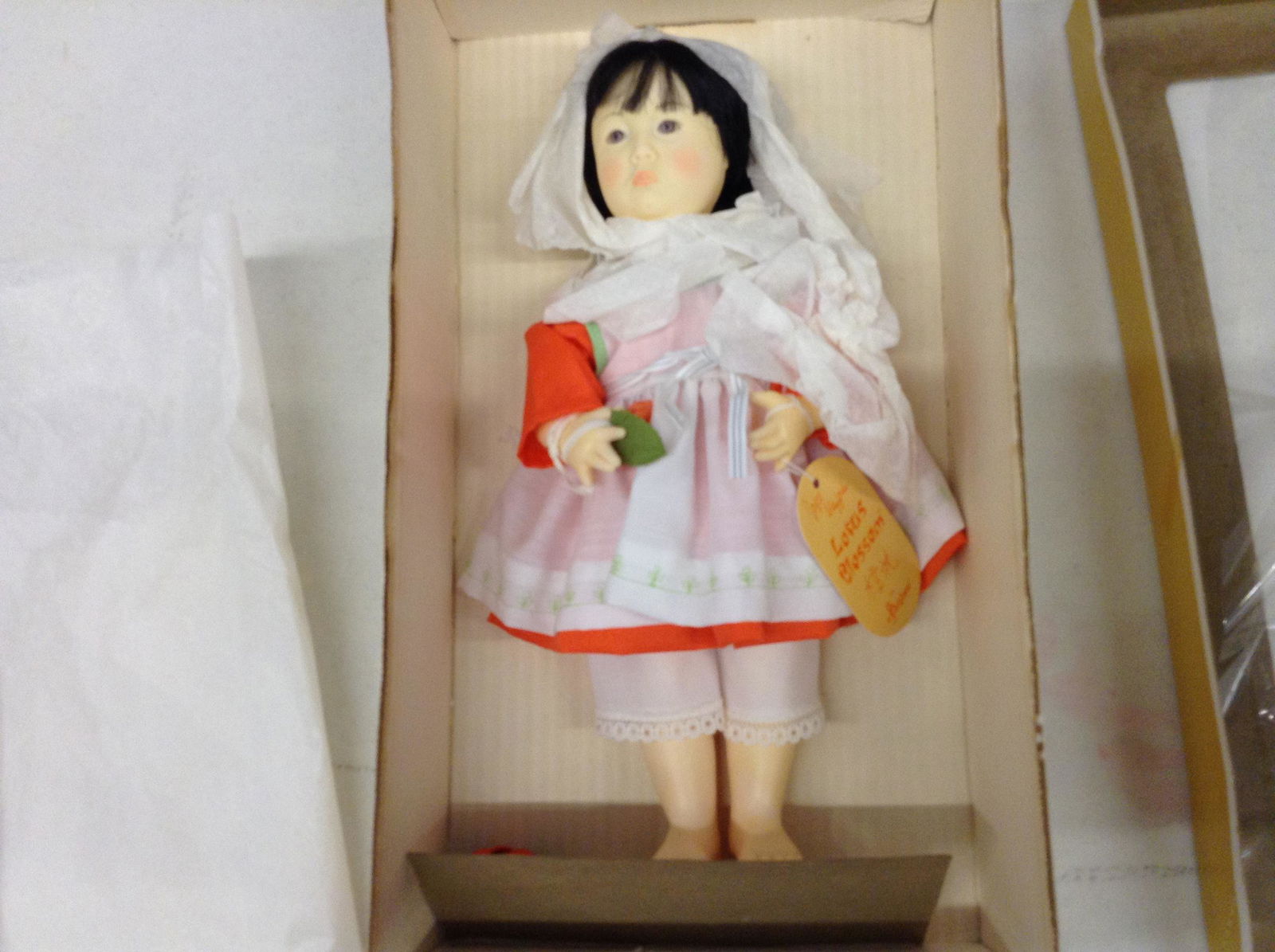 Effanbee Lotus Blossom doll in package: Effanbee Lotus Blossom doll in package