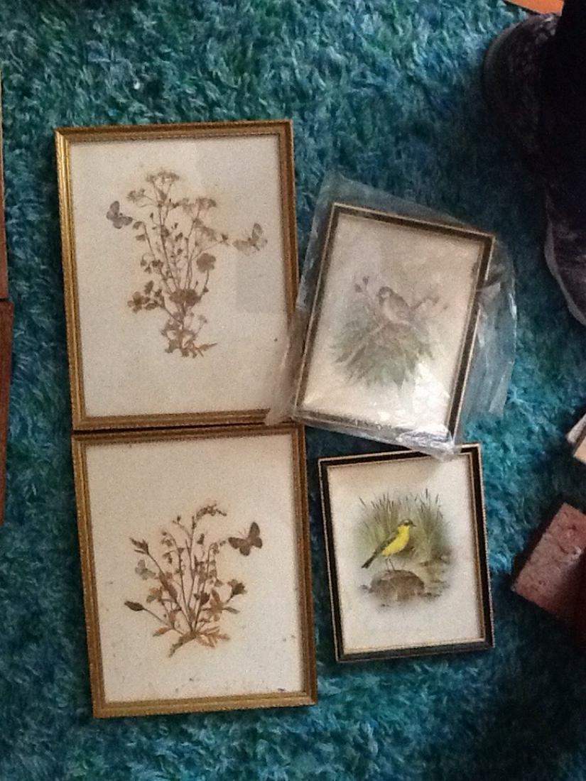 Lot of framed pressed flowers and framed artwork by (1 of 1)
