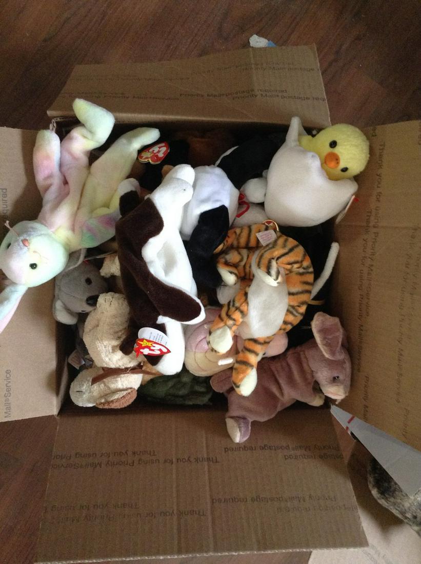 box full of beanie babies: box full of beanie babies