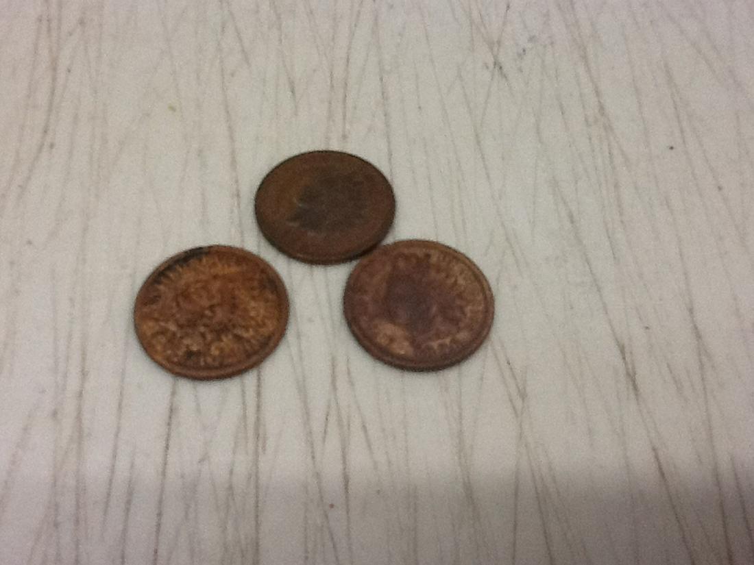 Indian Head Pennies 1895, 1896, 1897: Indian Head Pennies 1895, 1896, 1897