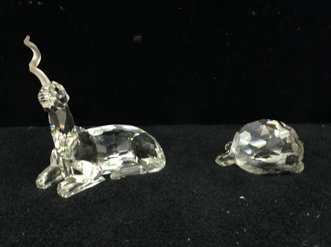 Handicapped Swarovski crystals (1 of 1)