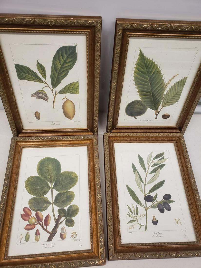 Four framed artworks by Pancrace Bessa (1 of 1)