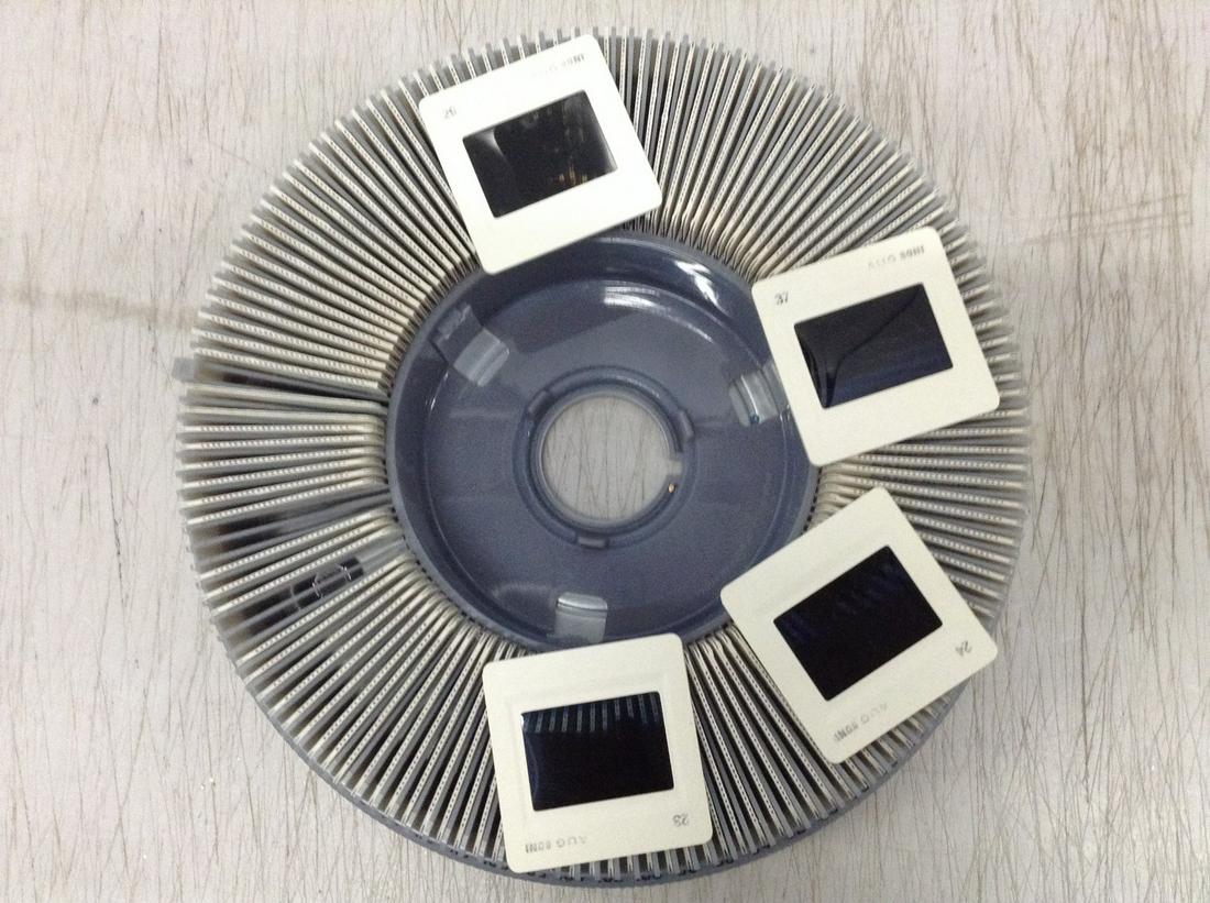 140 Ektachrome Travel Palm Trees including Hawaii (1 of 1)