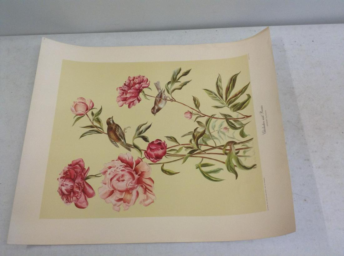chickadees and peonies anthony and peonies print: 29x23