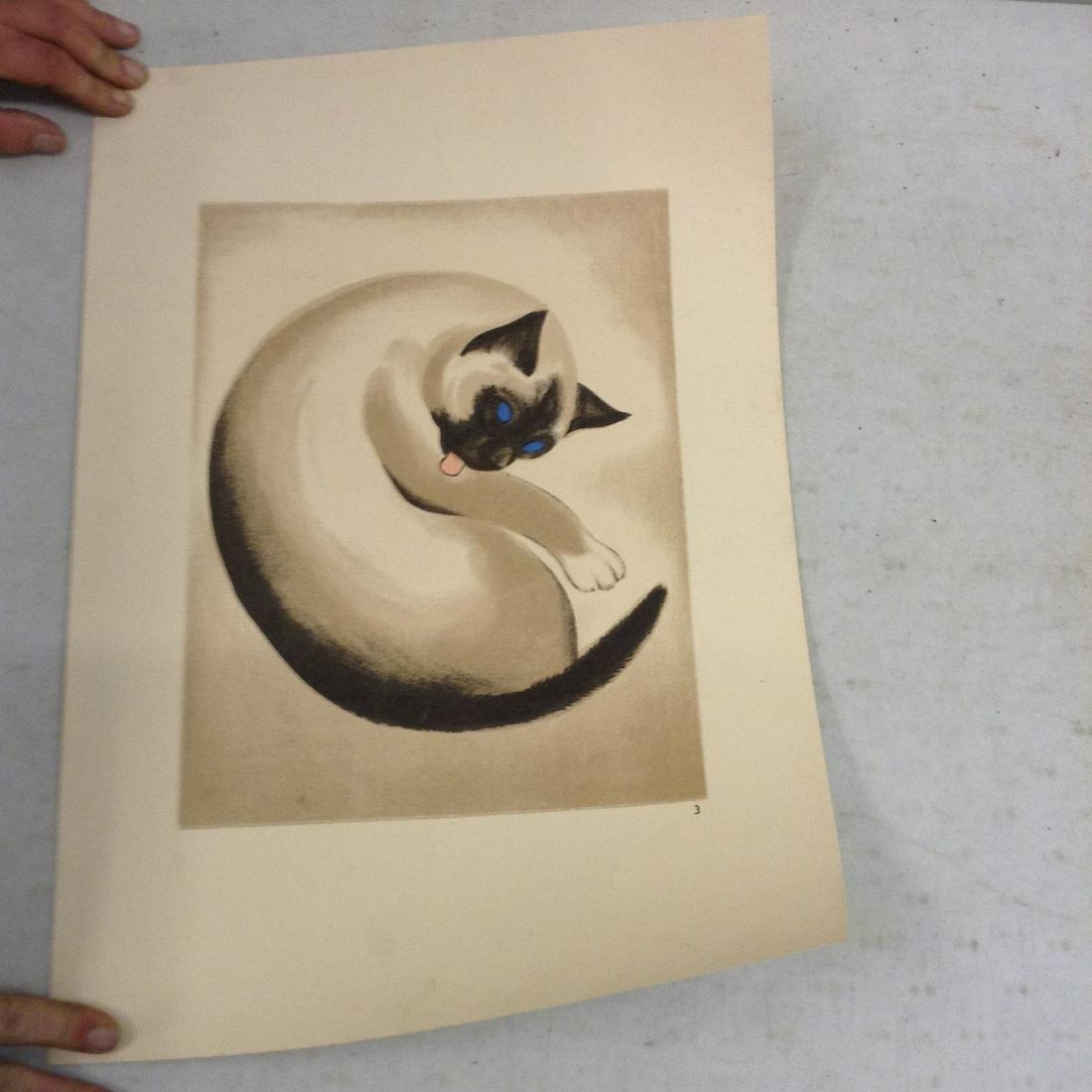 vintage cat print (1 of 1)