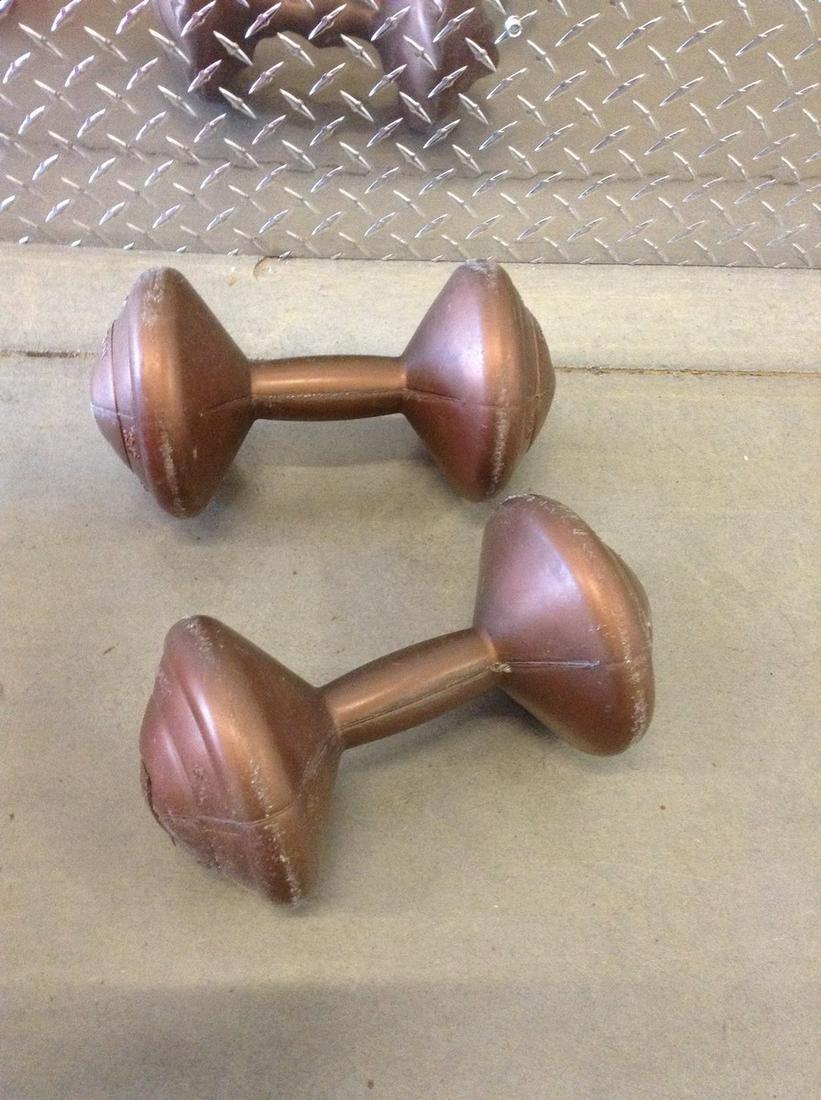 Orbatron 6.6 lb dumbbells: Orbatron 6.6 lb dumbbells