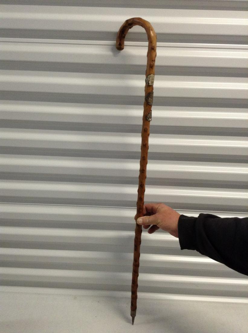 Thorn cane with metal badges: Thorn cane with metal badges