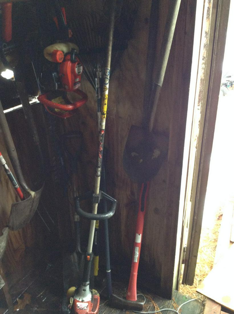 gas powered hedge trimmer, axes and weed trimmer (1 of 1)