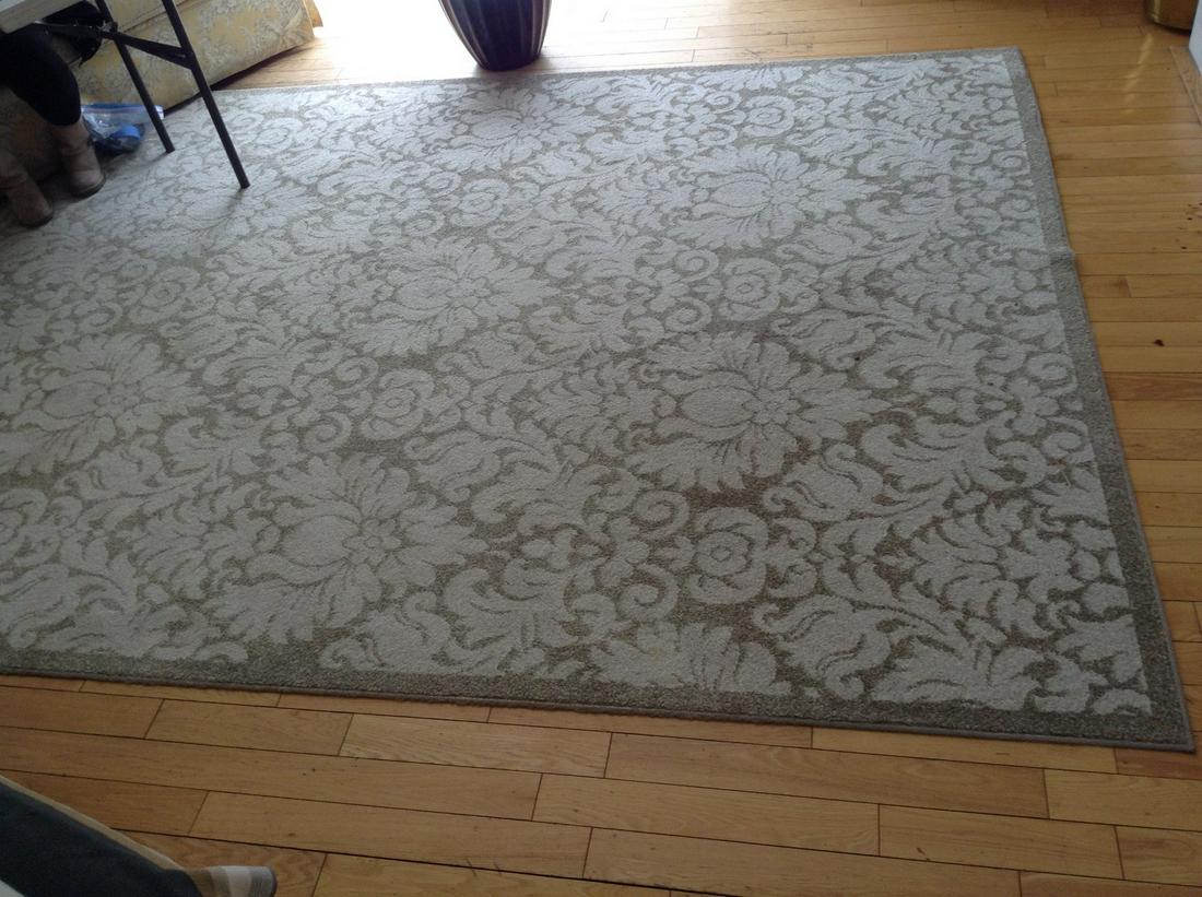 Area rug 10ft x 91": Area rug 10ft x 91"