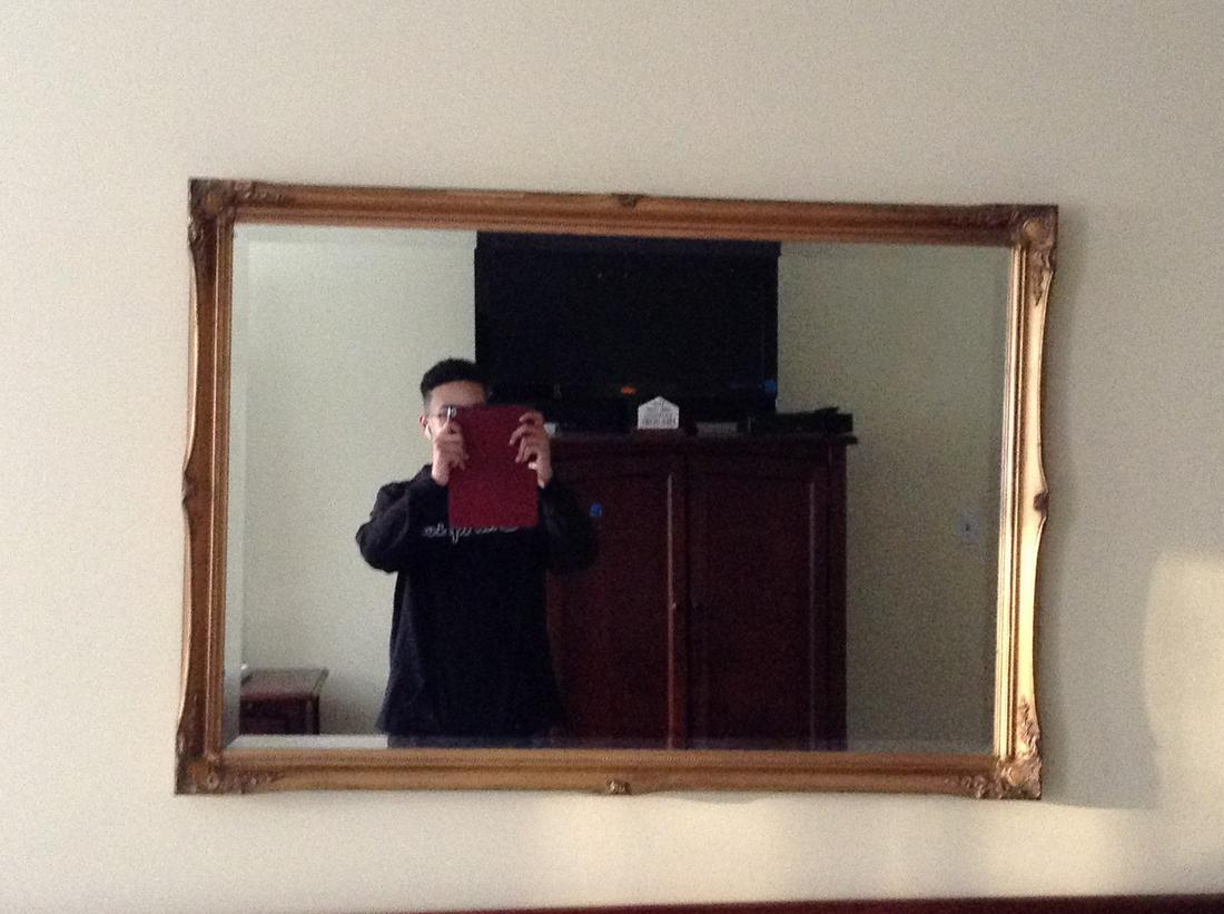 Vintage Rectangular Mirror (1 of 1)