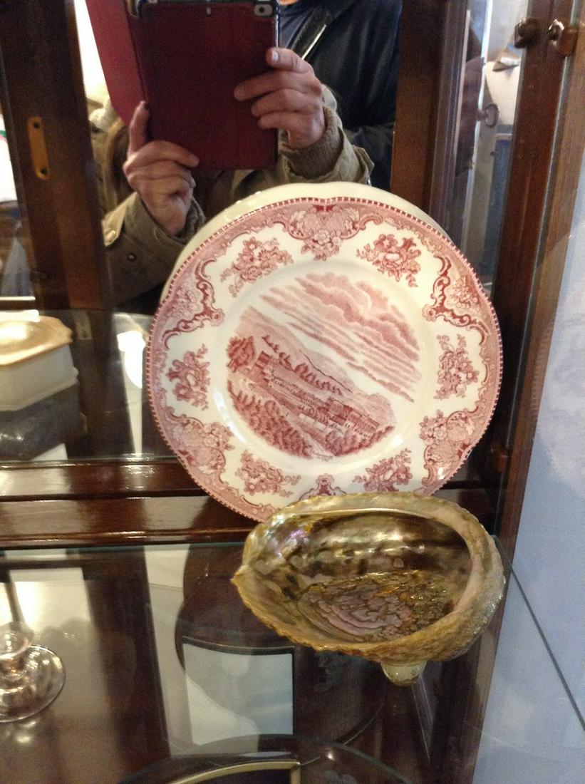 Charger plate and shell: Charger plate and shell