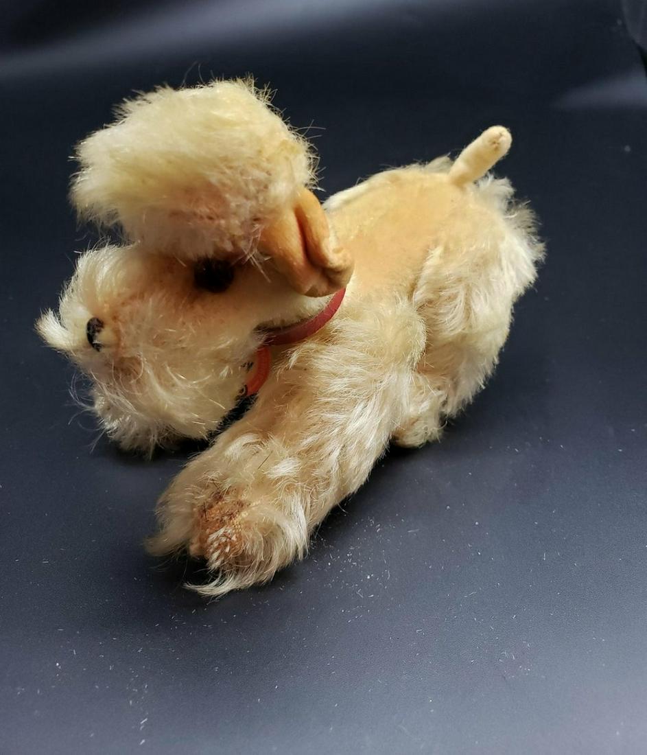 Steiff dog Snobby with original tag (1 of 1)